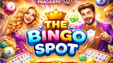 the bingo spot
